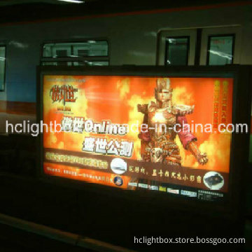 Super Large Slim LED Light Box with Backlit